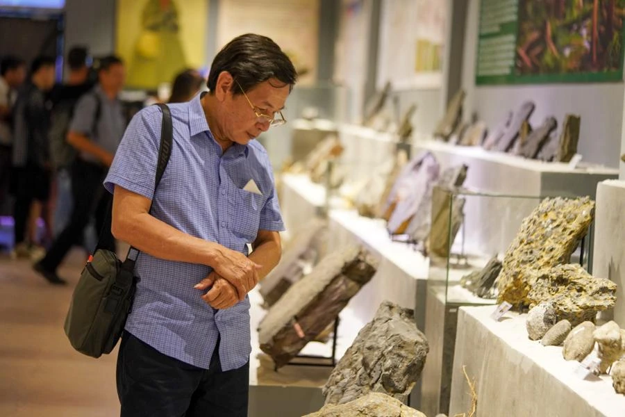 Theo Bảo tàng Hóa thạch Hà Nội, sau 2 năm tìm kiếm và sưu tầm, đơn vị này đã thu thập được hơn 14.000 mẫu vật; 2.500 tấn gỗ hóa thạch từ khắp nơi trên thế giới; được giới khoa học đánh giá là kho báu vô giá của ngành cổ sinh vật học nước nhà.