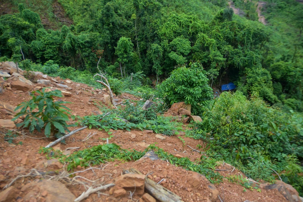 Nhiều khu vực gần con suối bị đất đá vùi lấp khó để kiểm đếm hết số lượng cây bị đốn hạ. Ảnh: NGUYỄN DO