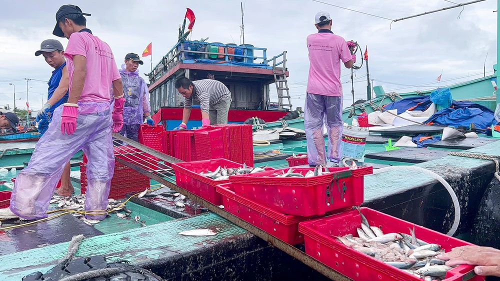 Cá được vận chuyển từ tàu lên cảng.