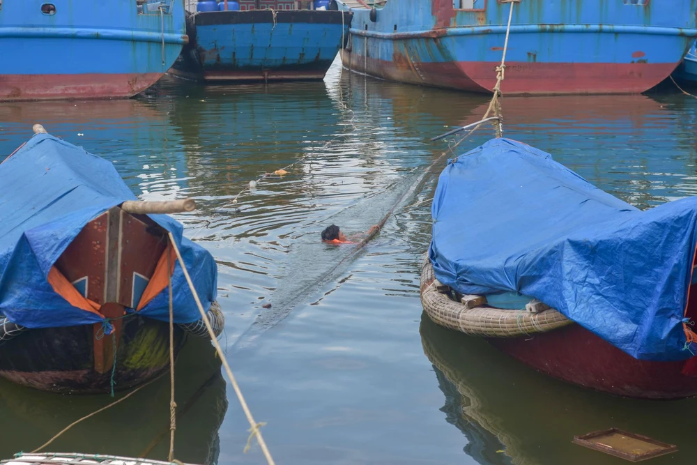 Người dân neo đậu, gia cố tàu thuyền tại âu thuyền nam Cửa Việt (xã Triệu An, huyện Triệu Phong).