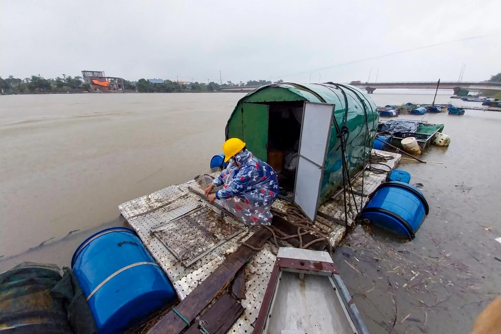 Ông Hoàng Văn Oanh (44 tuổi, ở TDP 7, phường Tứ Hạ, thị xã Hương Trà) ra sức neo các sợi dây từ lồng cá lên đến gốc cây, cột trụ, rồi buộc lại chắc chắn.