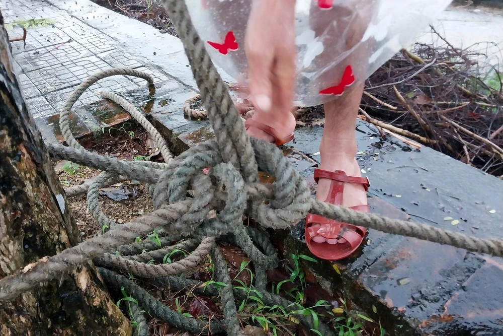 Gia đình anh Oanh nuôi 3 lồng cá trắm cỏ, với khoảng 450 con cá nặng khoảng 1,5-2kg, sắp thu hoạch và khoảng 500 con cá giống.