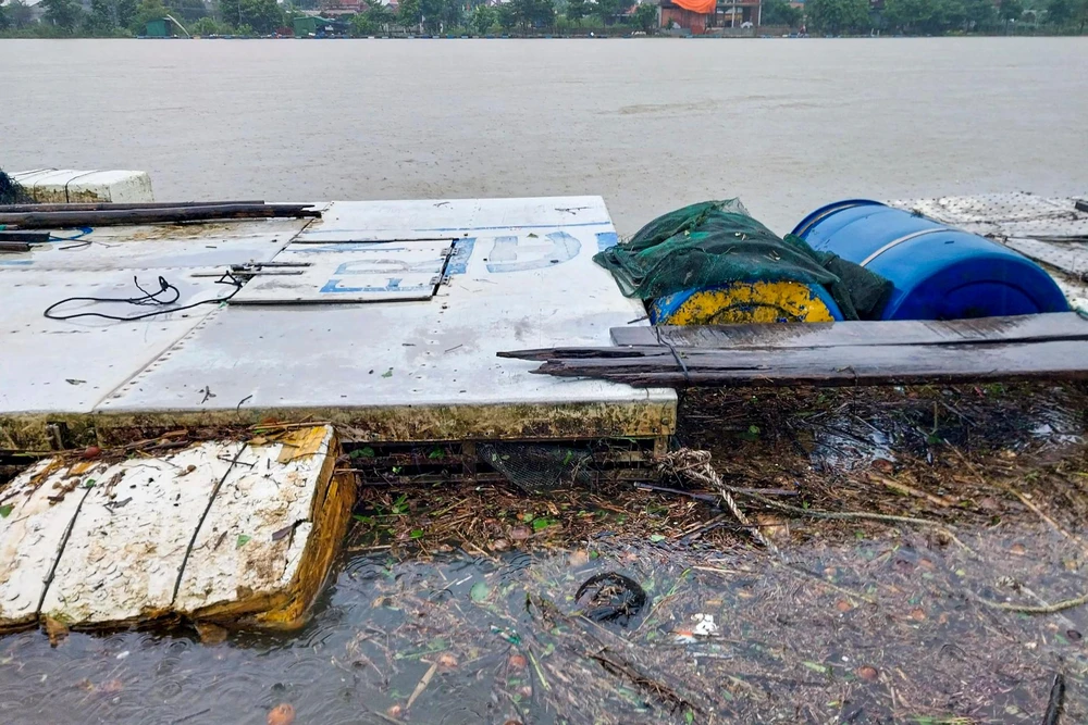 Nhiều rác, nhành cây khô theo dòng nước trôi về.
