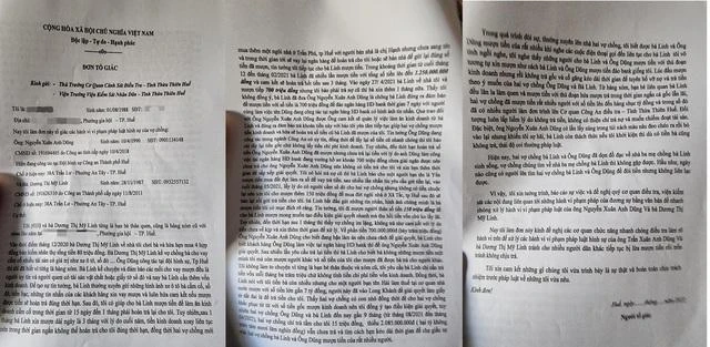 Nguyễn Xuân Anh Dũng và Dương Thị Mỹ Linh bị người dân tố cáo về hành vi lừa đảo chiếm đoạt tài sản. Ảnh: ND