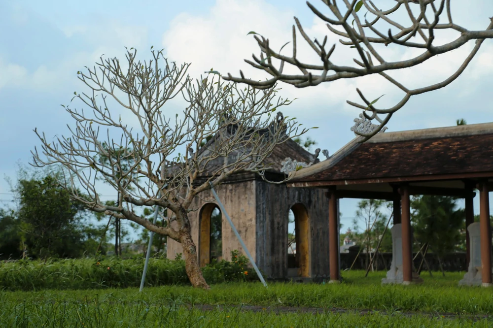 Hàng năm, vào mùa Xuân và Thu, triều đình tổ chức lễ tế ở đây. Nhà Nguyễn xếp lễ tế Văn Miếu vào hàng trung tự.