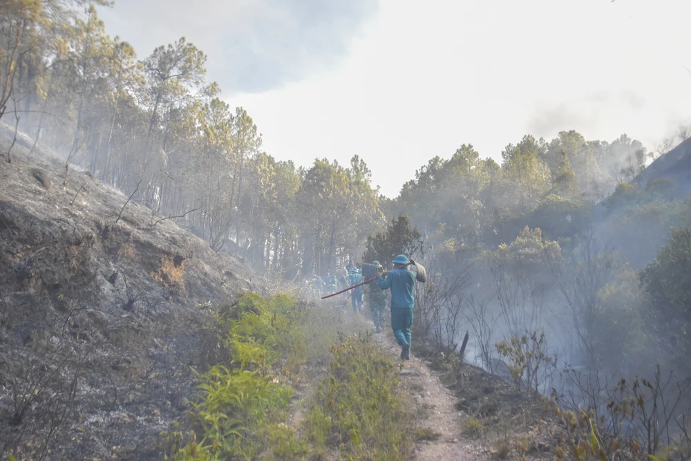 Lực lượng chữa cháy tiếp cận đám cháy. Ảnh: NGUYỄN DO