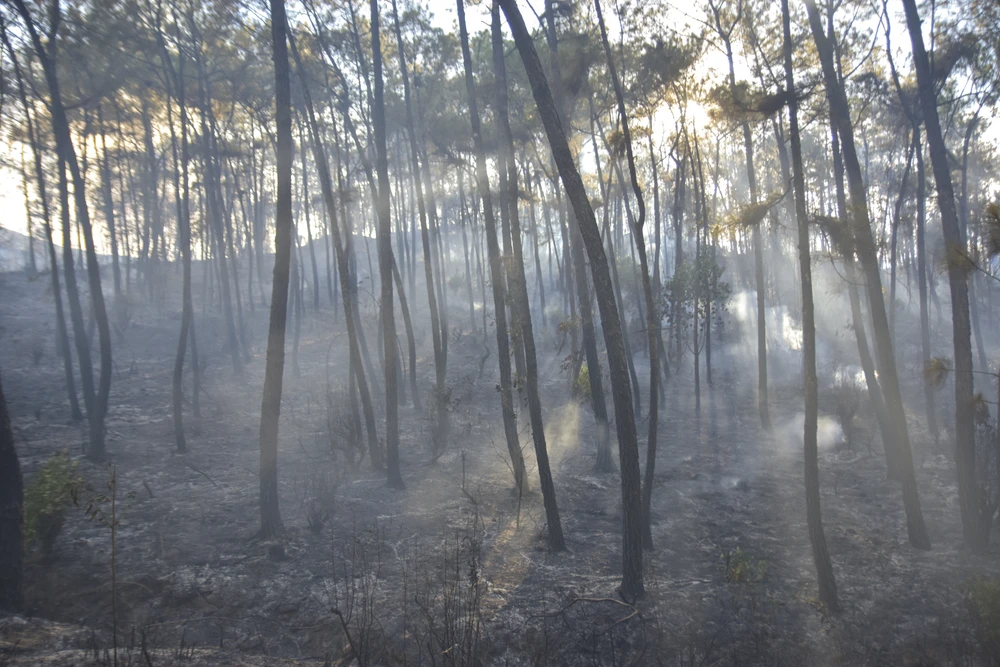 Đám cháy cơ bản được khống chế, tuy nhiên lực lượng chức năng lo ngại đám cháy bùng phát trở lại khi gặp điều kiện thời tiết hanh khô và gió lớn. Ảnh: NGUYỄN DO