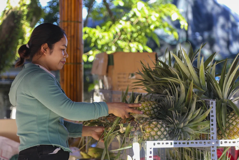 Quả dứa là một trong những cây trồng được huyện Nam Đông xem là cây chủ lực ở địa phương, từng bước đem lại thu nhập ổn định cho người dân.
