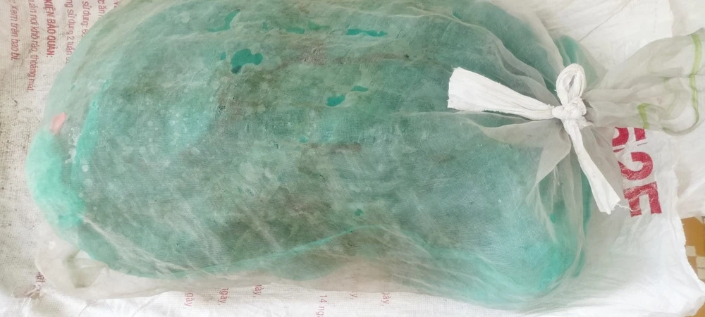 Hạt Kiểm lâm huyện Cam Lộ tiếp nhận cá thể trăn. Ảnh: BT