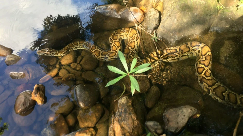 tha-ca-the-tran-ve-tu-nhien (1).jpg