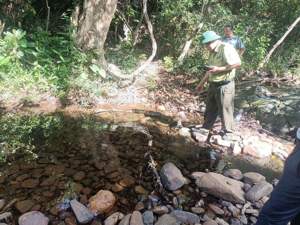 tha-ca-the-tran-ve-tu-nhien (2).jpg