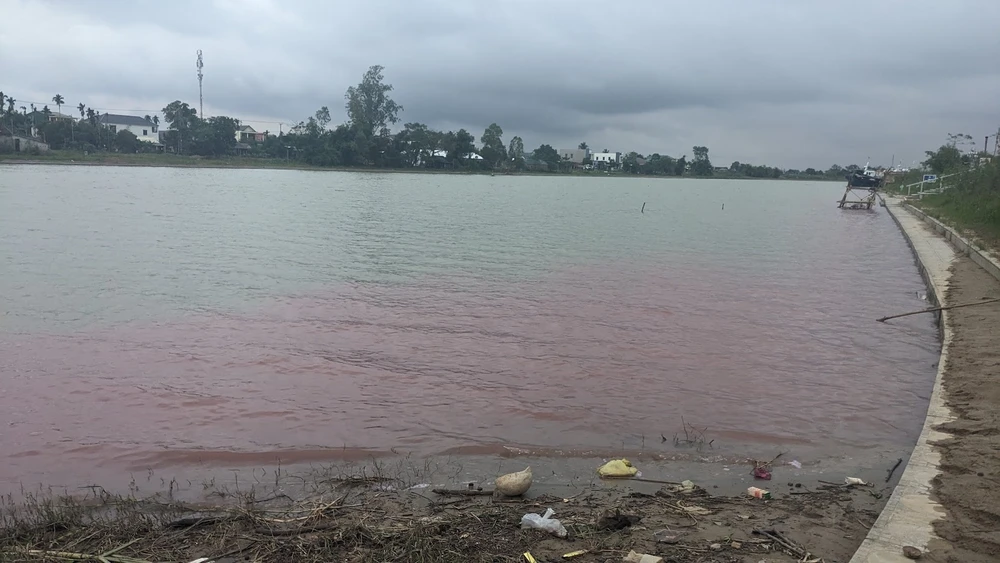 Nước sông Hiếu đổi màu