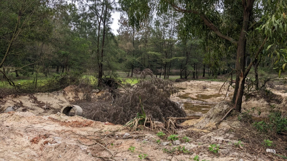 Công ty Cổ phần golf Quảng Trị có thuê máy múc và xe tiến hành khai thác đất cát với diện tích vi phạm là 1.200m2.