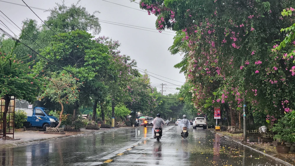 Mưa lớn giải nhiệt