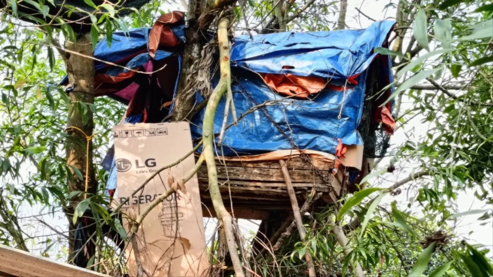 Làm lán trại trên cây để giao dịch ma túy