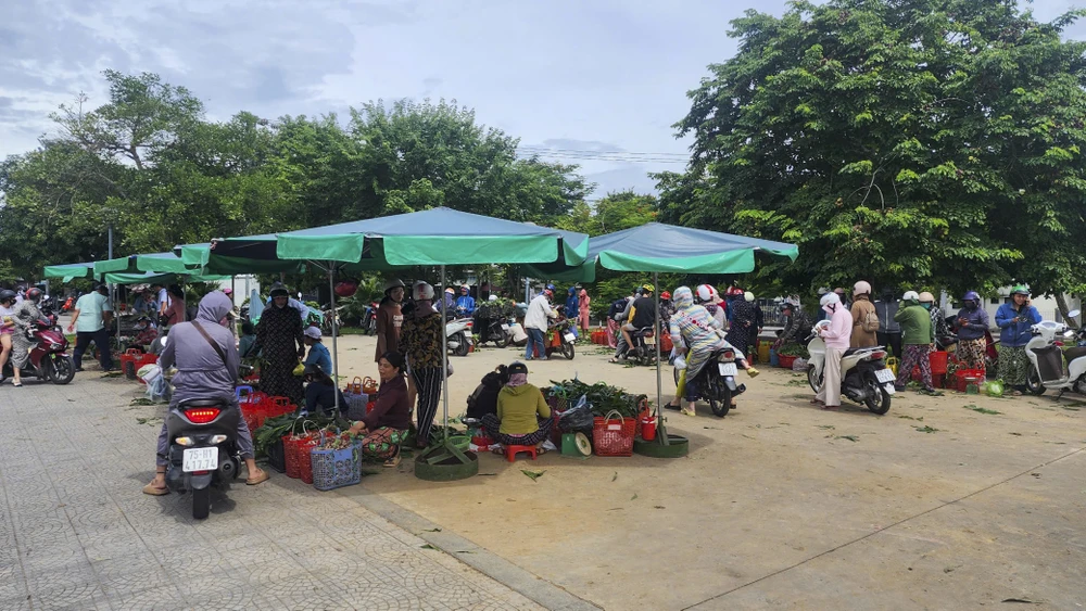 nấm tràm đắt hàng