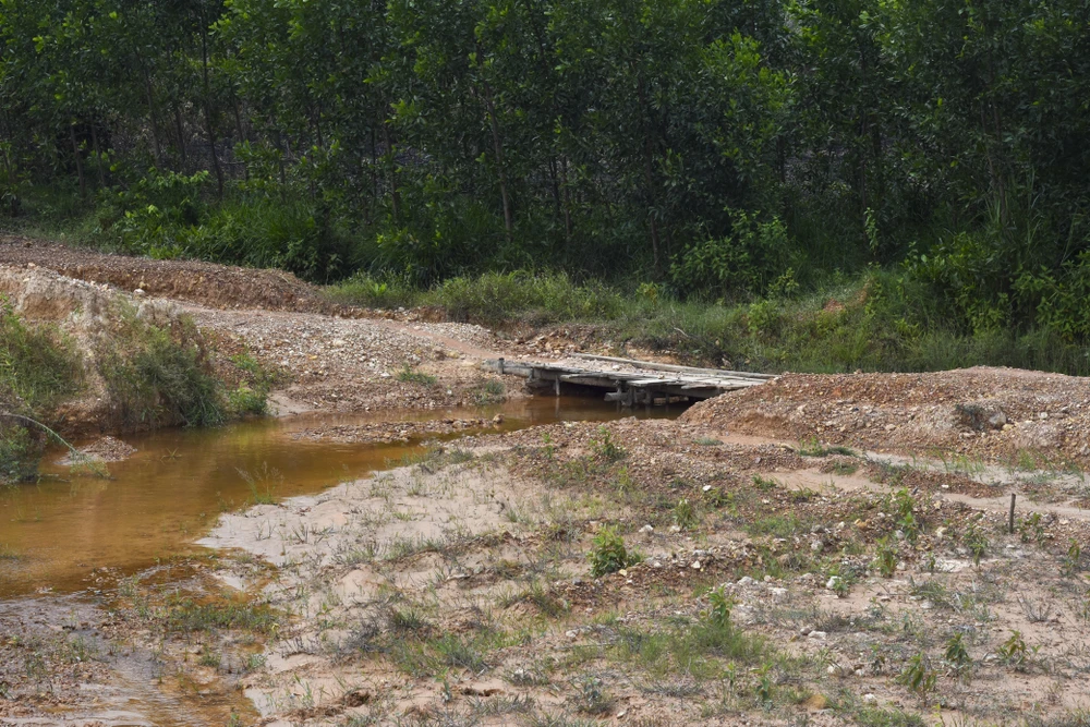 duong-hung-vuong-90-ti-noi-dai-ngay-ve-dich (1).jpg