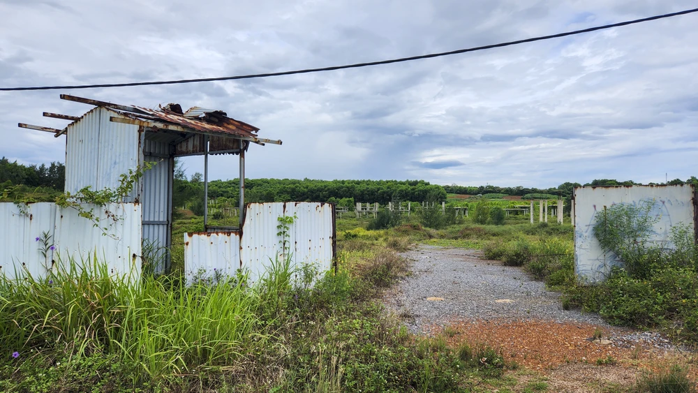 cay-co-phu-kin-du-an-khu-do-thi-sinh-thai-bien-gan-500-ti (10).jpg