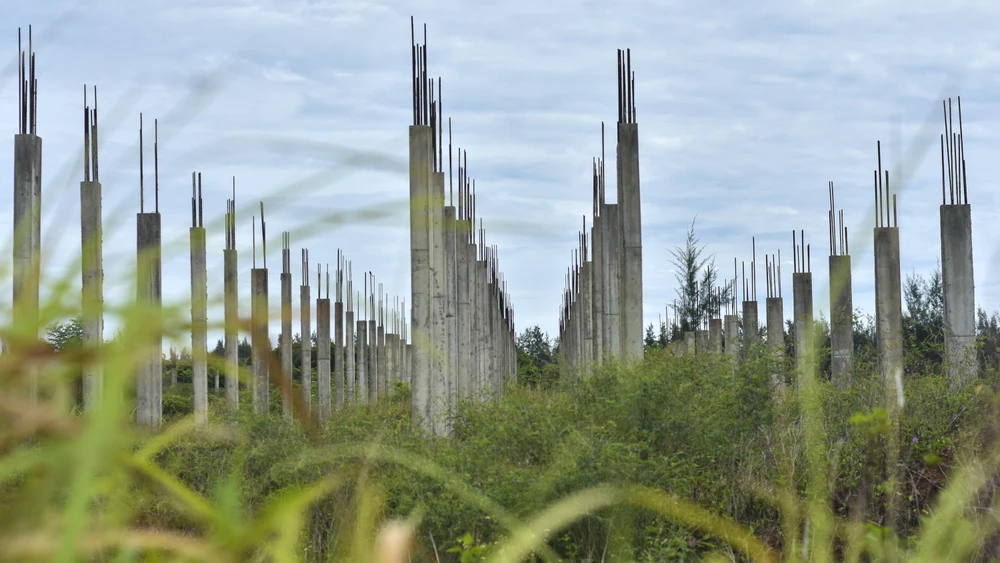 cay-co-phu-kin-du-an-khu-do-thi-sinh-thai-bien-gan-500-ti (5).jpg