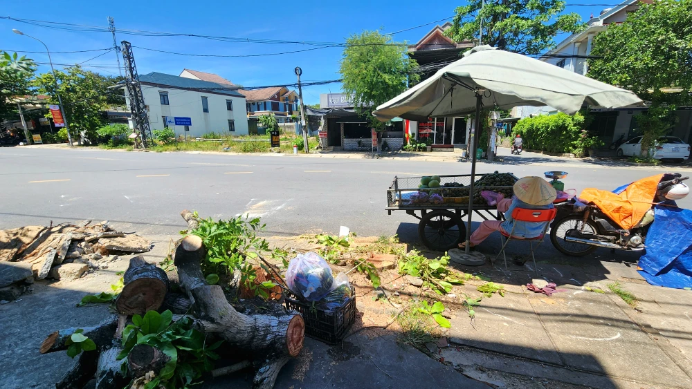 vi-sao-hang-loat-cay-xanh-o-tp-dong-ha-bi-don-ha (2).jpg