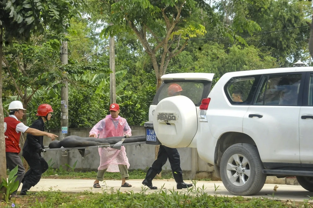 Phòng chống lụt bão
