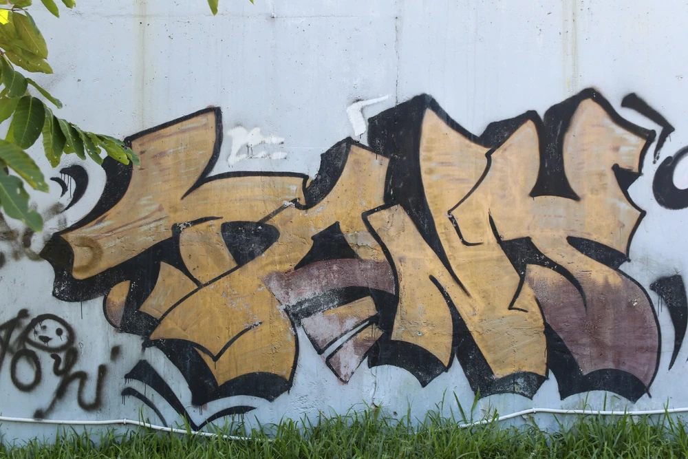 nhuc-mat-voi-nan-ve-bay-lam-nhech-nhac-tai-thanh-pho-hue (8).jpg