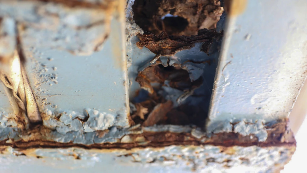 cay-cau-doc-dao-ket-noi-oc-dao-hon-4-000-nguoi-o-hue-xuong-cap (13).jpg