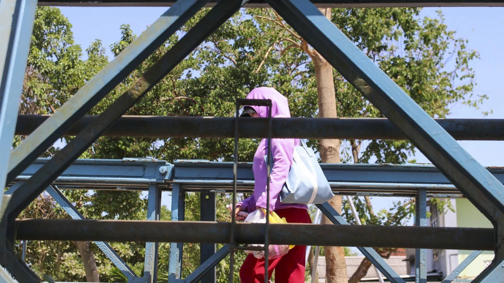 cay-cau-doc-dao-ket-noi-oc-dao-hon-4-000-nguoi-o-hue-xuong-cap (9).jpg