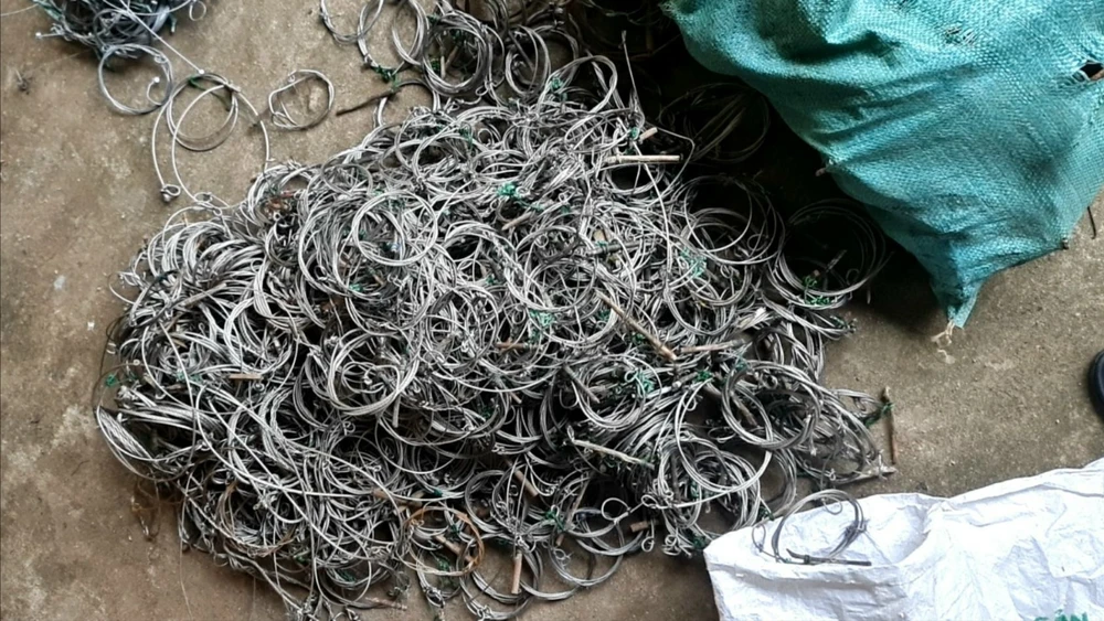 cap-ky-lan-chau-a-tu-5-000-bay-thu-va-thong-diep-cua-can-bo-bao-ton (3).jpg