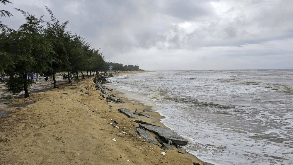 300-nguoi-doi-mua-khan-truong-gia-co-khan-cap-bo-bien (15).jpg