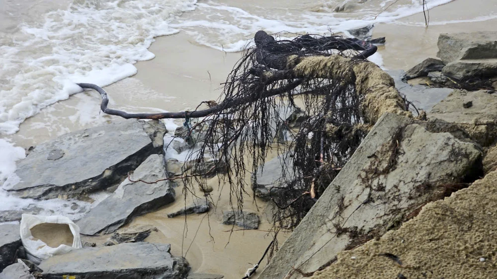 300-nguoi-doi-mua-khan-truong-gia-co-khan-cap-bo-bien (16).jpg