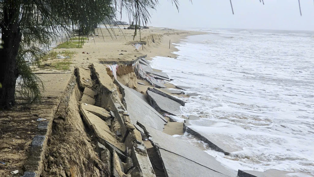 300-nguoi-doi-mua-khan-truong-gia-co-khan-cap-bo-bien (9).jpg