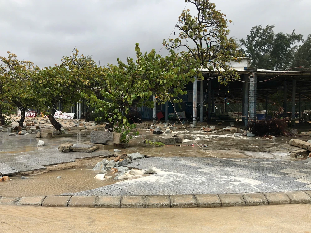 bo-bien-tan-hoang-do-bao-tra-mi (2).jpg