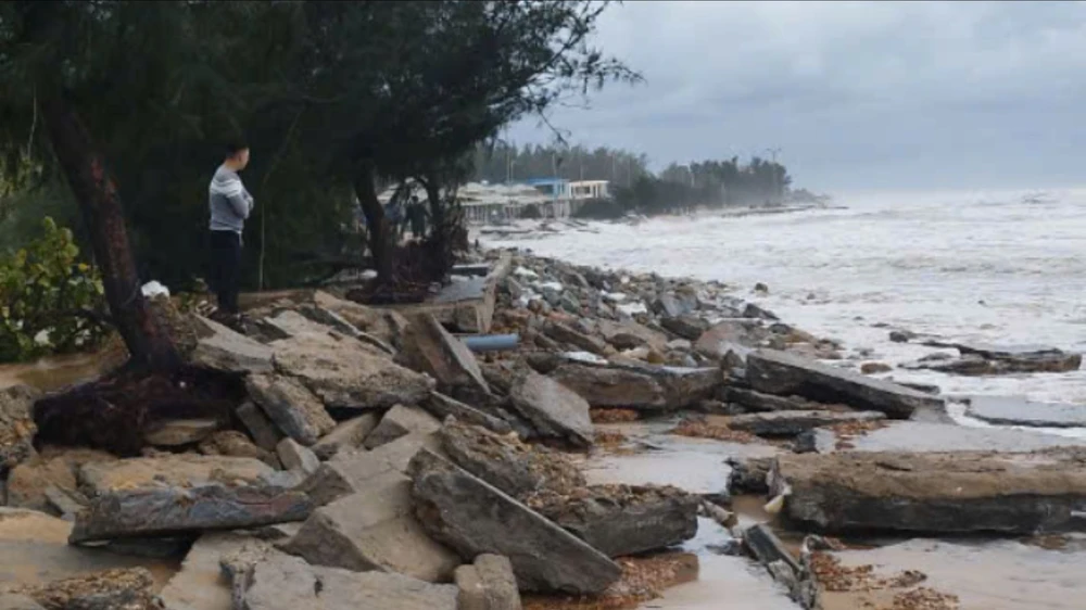 bo-bien-tan-hoang-do-bao-tra-mi (5).jpg