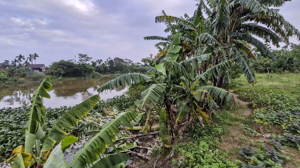 nguoi-dan-bat-an-song-ben-bo-song-bi-sat-lo-nghiem-trong-sau-mua-lu (1).jpg