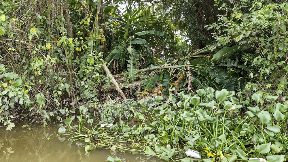 bờ sông bị sạt lở