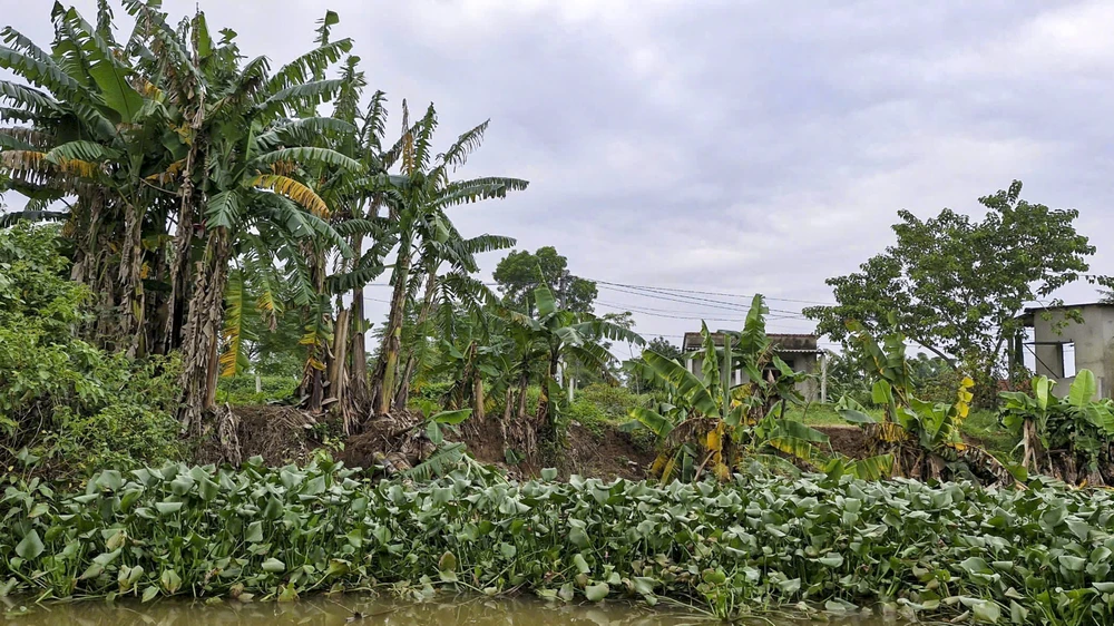 nguoi-dan-bat-an-song-ben-bo-song-bi-sat-lo-nghiem-trong-sau-mua-lu (9).jpg
