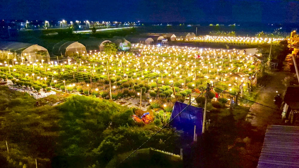 Làng hoa ở Quảng Trị chong đèn