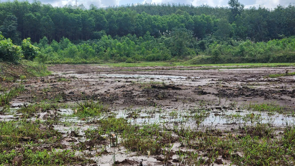 thi-cong-cao-toc-van-ninh-cam-lo-khien-bun-dat-vui-lap-ruong-cua-dan (4).jpg