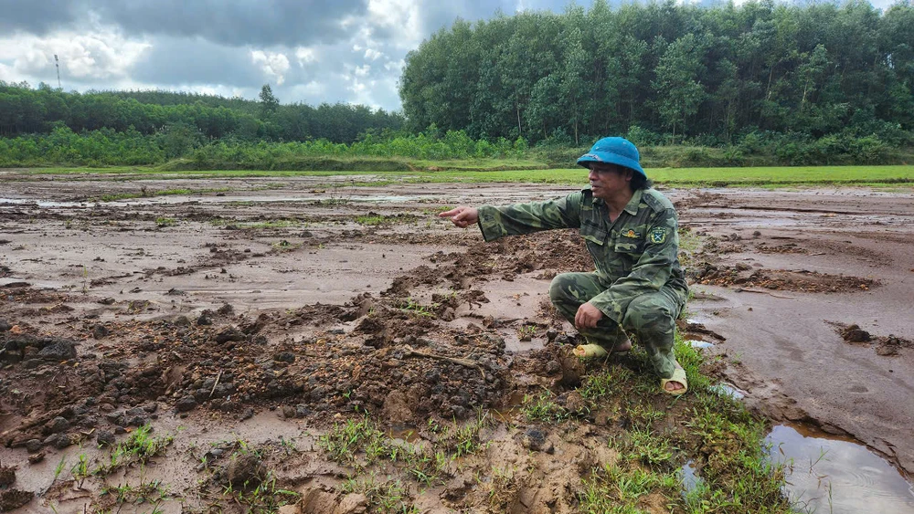 thi-cong-cao-toc-van-ninh-cam-lo-khien-bun-dat-vui-lap-ruong-cua-dan (7).jpg