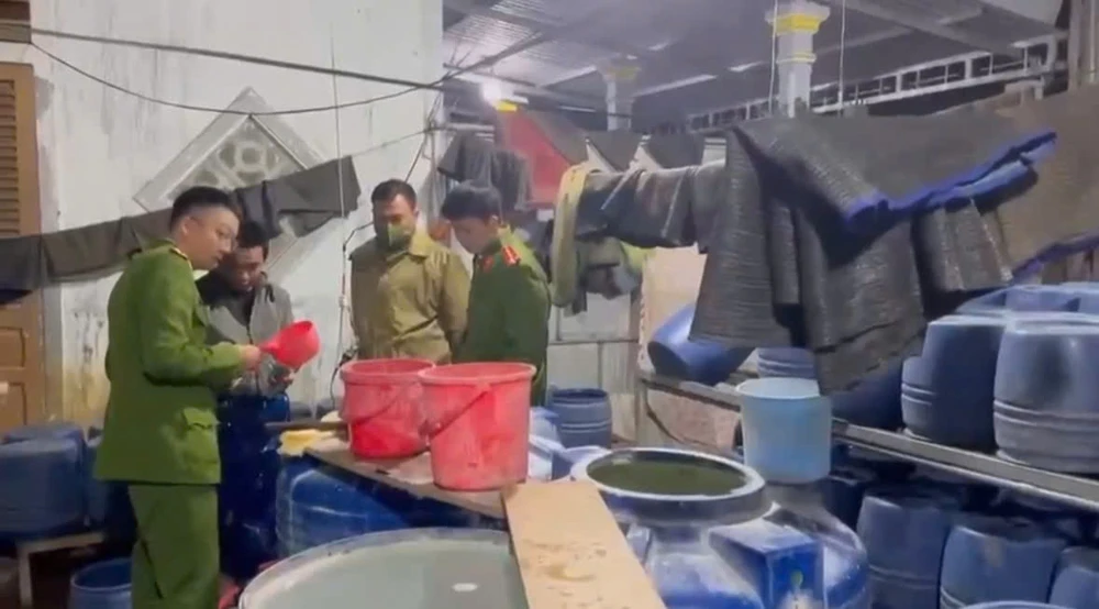 dùng chất kích thích tăng trưởng trong sản xuất giá đỗ