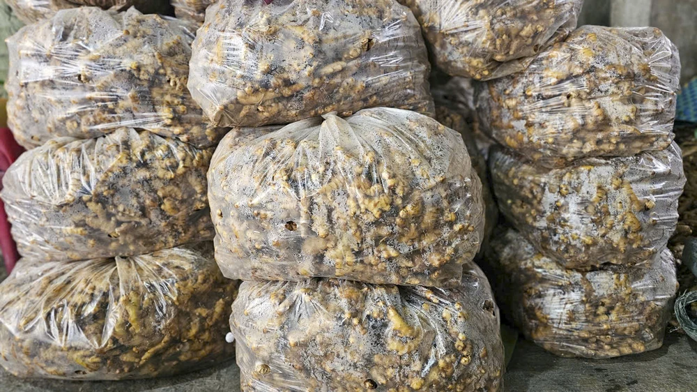 tham-lang-mut-gung-tru-danh-xu-hue-truoc-tet-at-ty (1).jpg