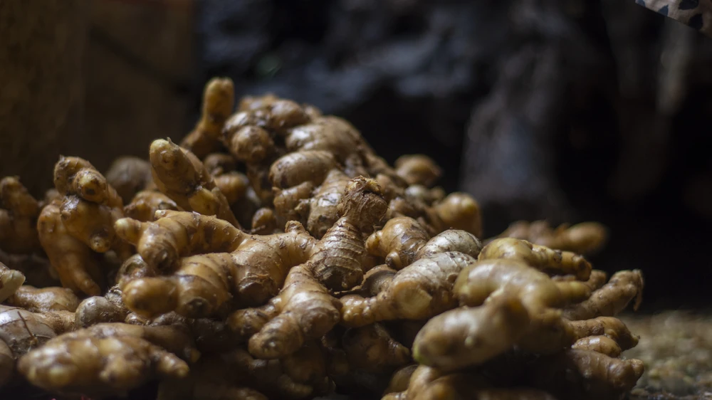 tham-lang-mut-gung-tru-danh-xu-hue-truoc-tet-at-ty (11).jpg