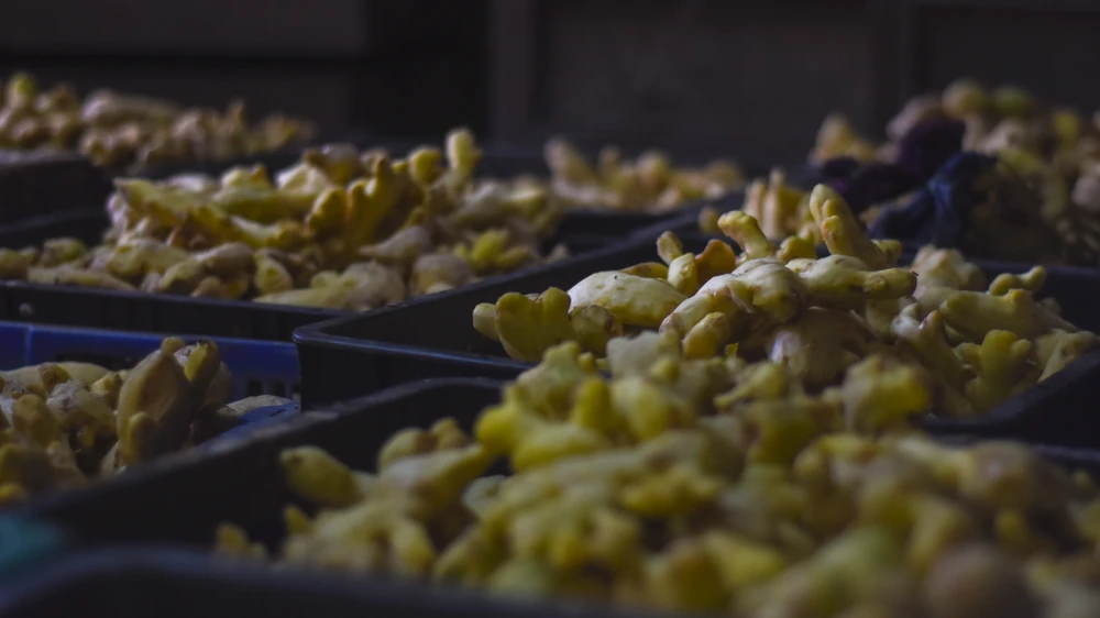 tham-lang-mut-gung-tru-danh-xu-hue-truoc-tet-at-ty (8).jpg