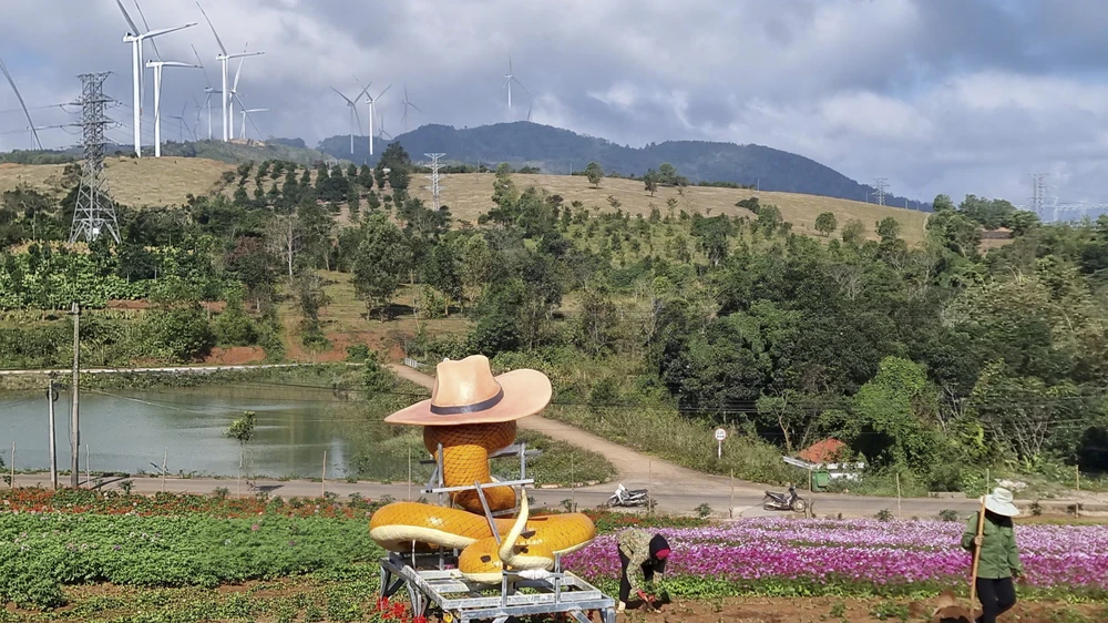 can-canh-nhan-sac-linh-vat-ran-cua-nghe-nhan-o-quang-tri (5).jpg