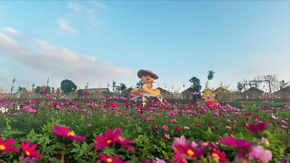 linh-vat-ran-cua-nghe-nhan-quang-tri-lai-gay-sot (1).jpg