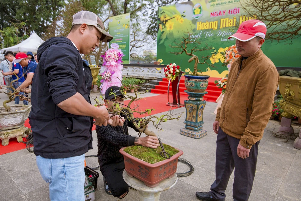 hang-tram-goc-hoang-mai-khoe-sac-ben-dong-huong (15).jpg