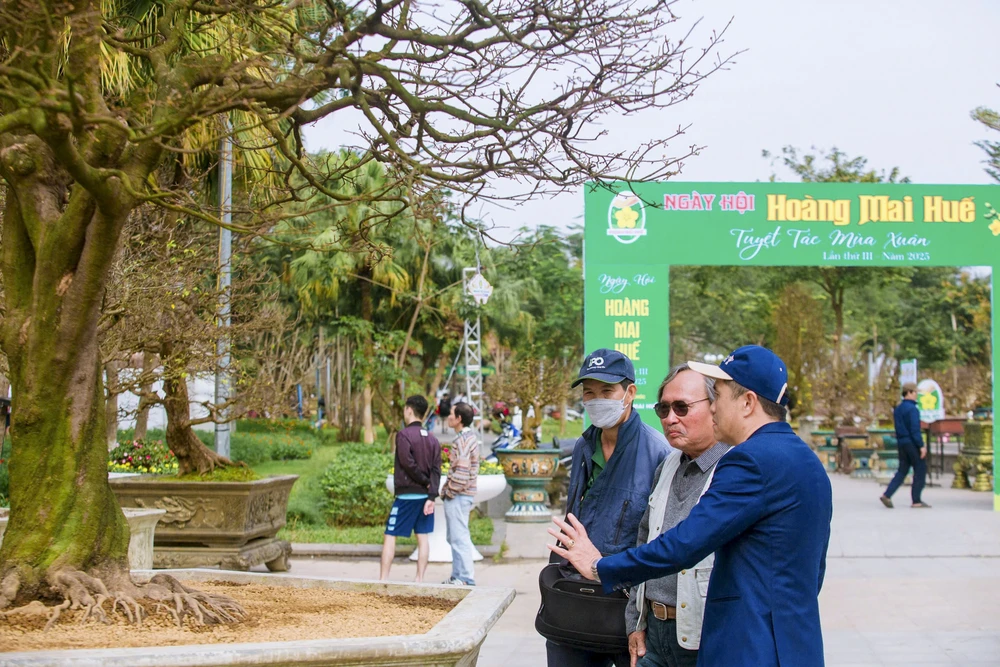 hang-tram-goc-hoang-mai-khoe-sac-ben-dong-huong (17).jpg