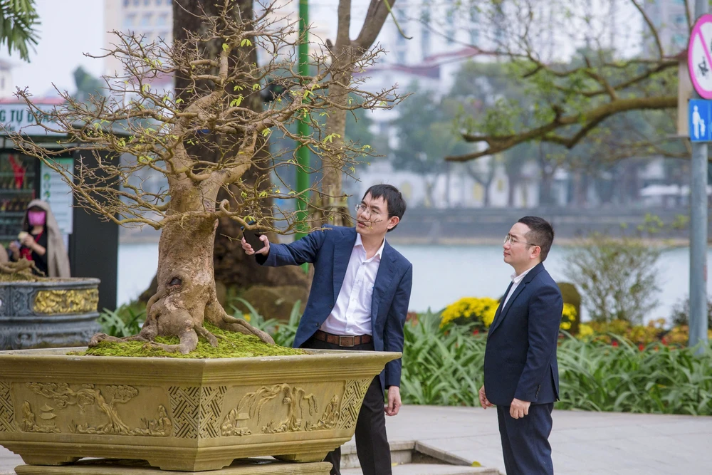 hang-tram-goc-hoang-mai-khoe-sac-ben-dong-huong (19).jpg