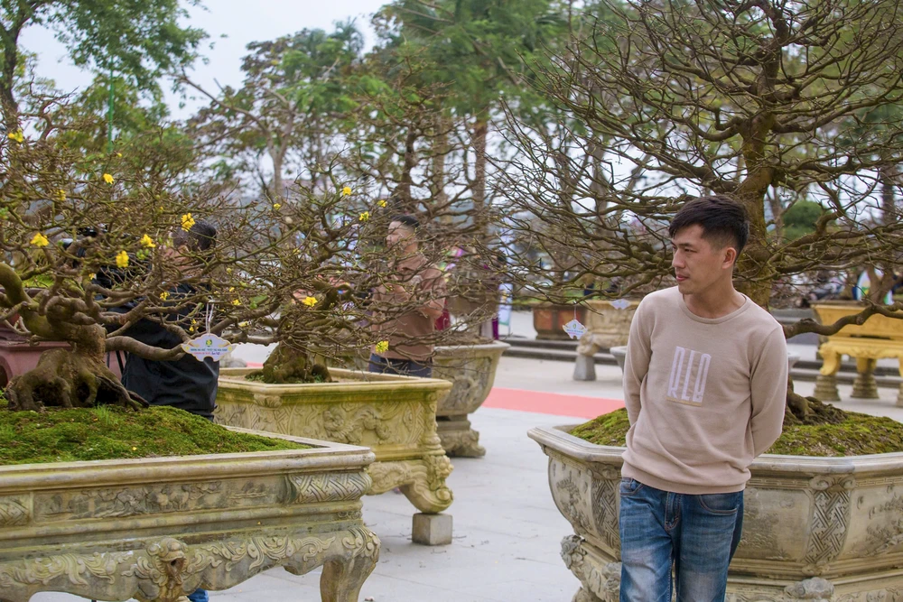 hang-tram-goc-hoang-mai-khoe-sac-ben-dong-huong (24).jpg